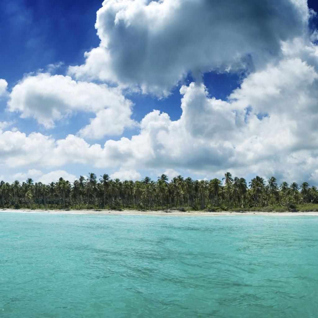 Гавайский берег