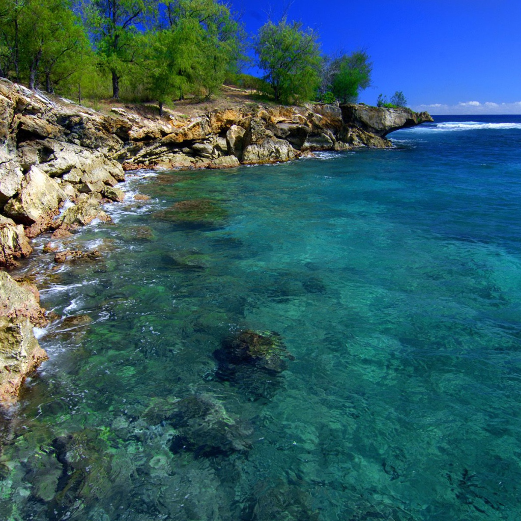 Скалистый берег