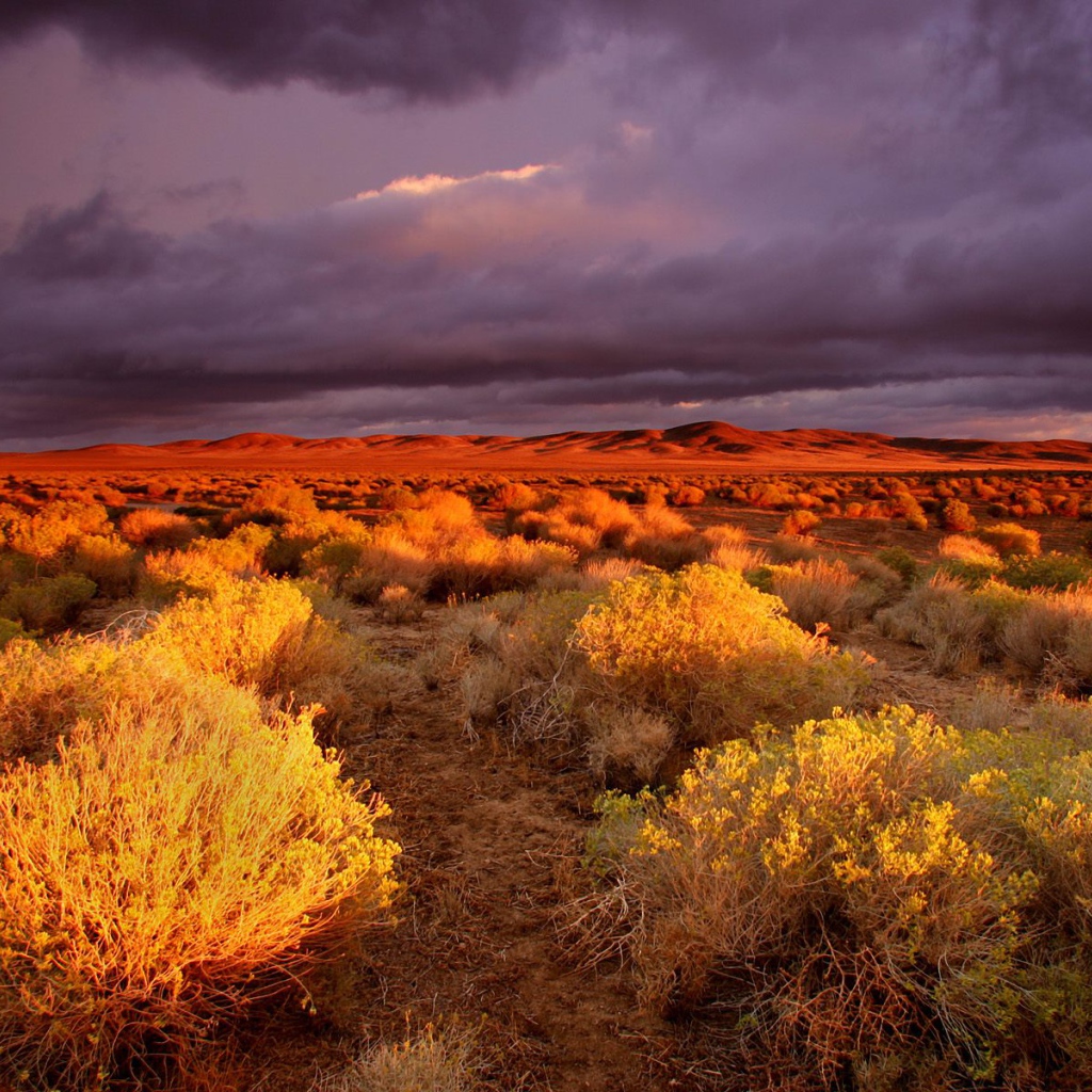 долина Antelope