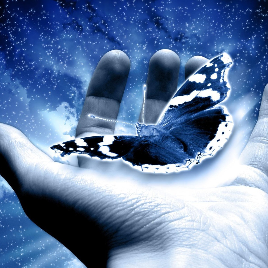 Бабочка в руке