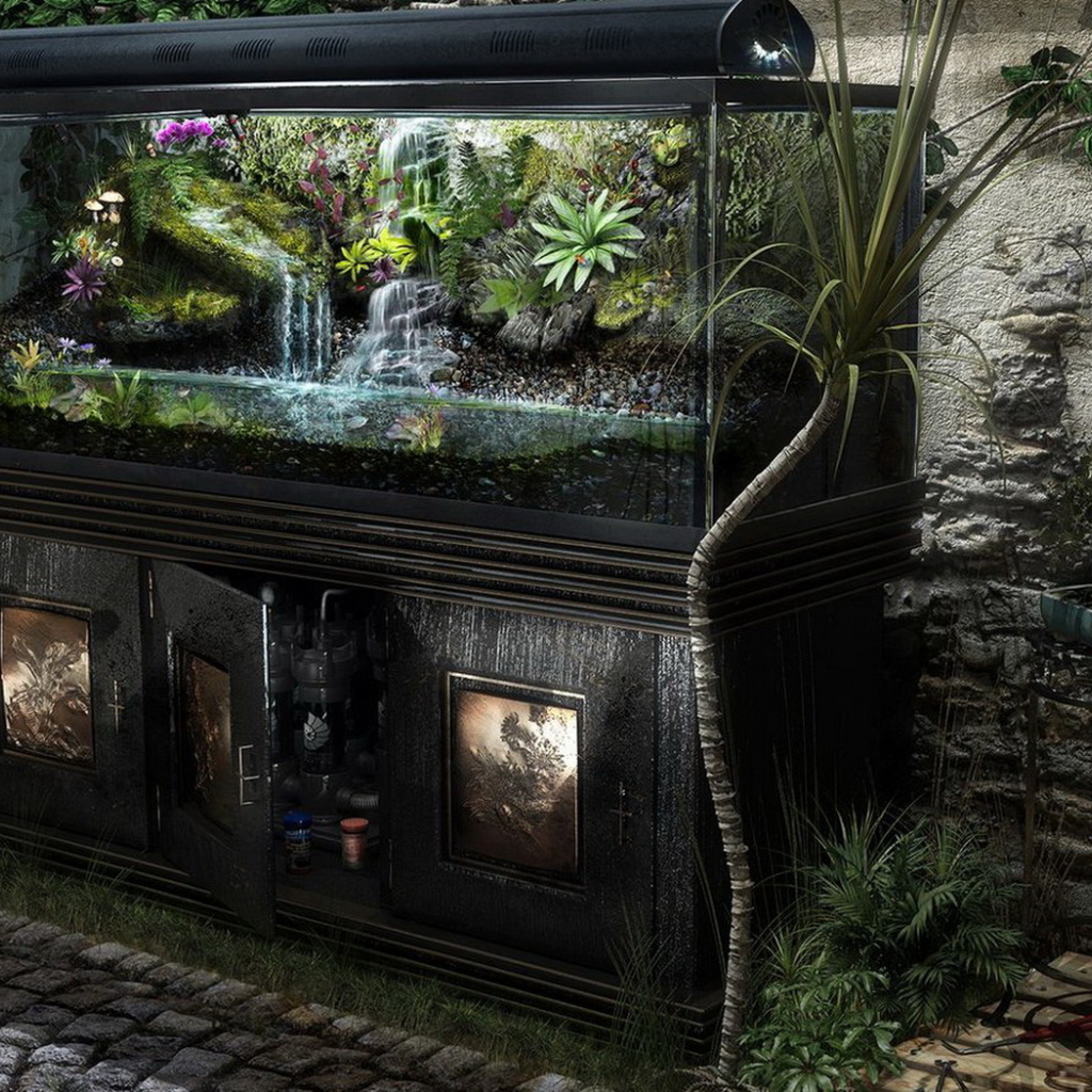 Домашние джунгли