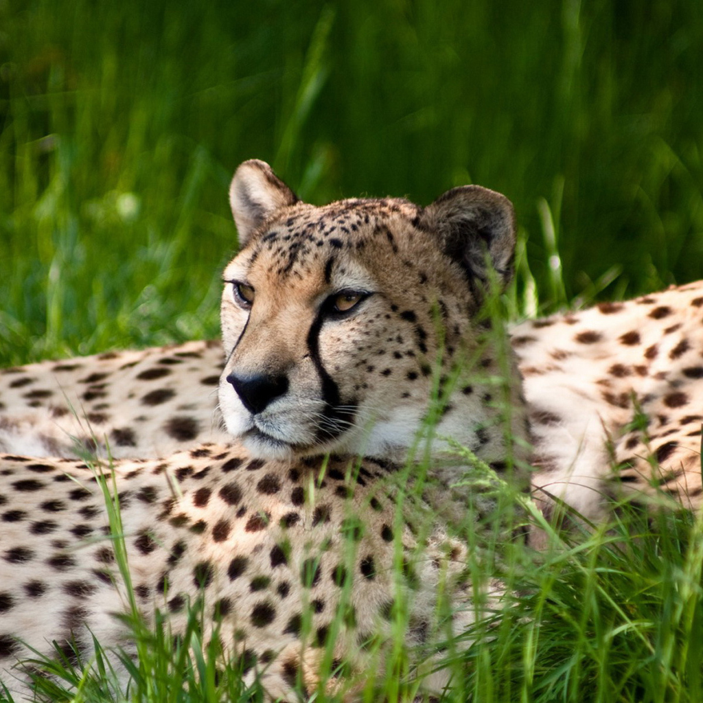 Отдыхающие 