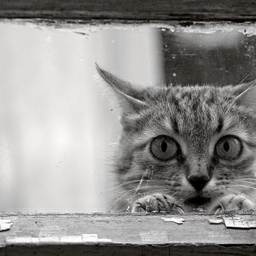 Возле окошка