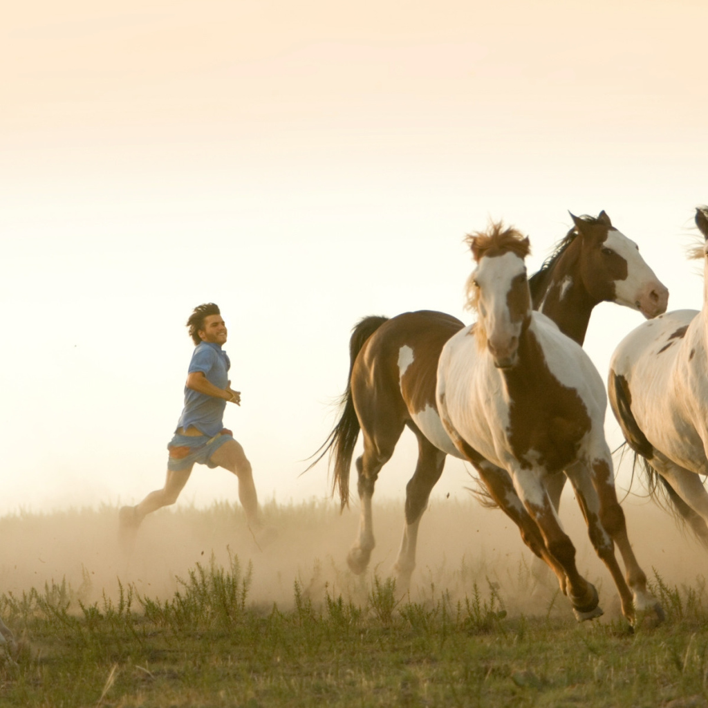 Пробежка с табуном