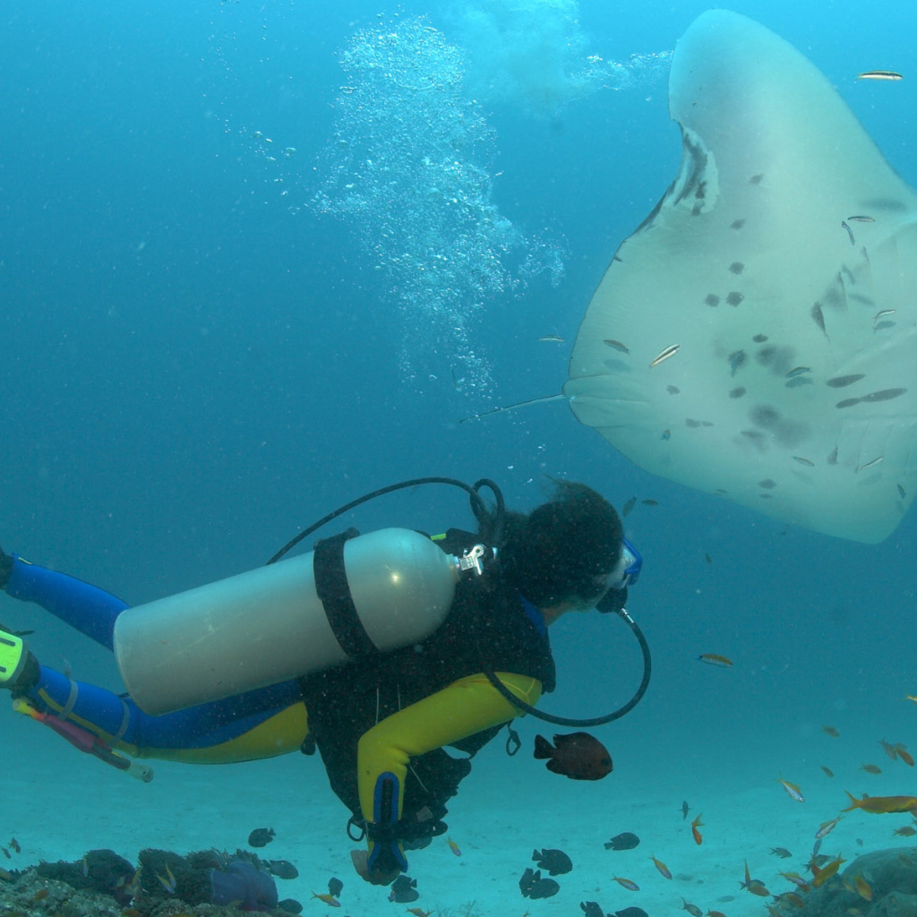 Дайвер и скат