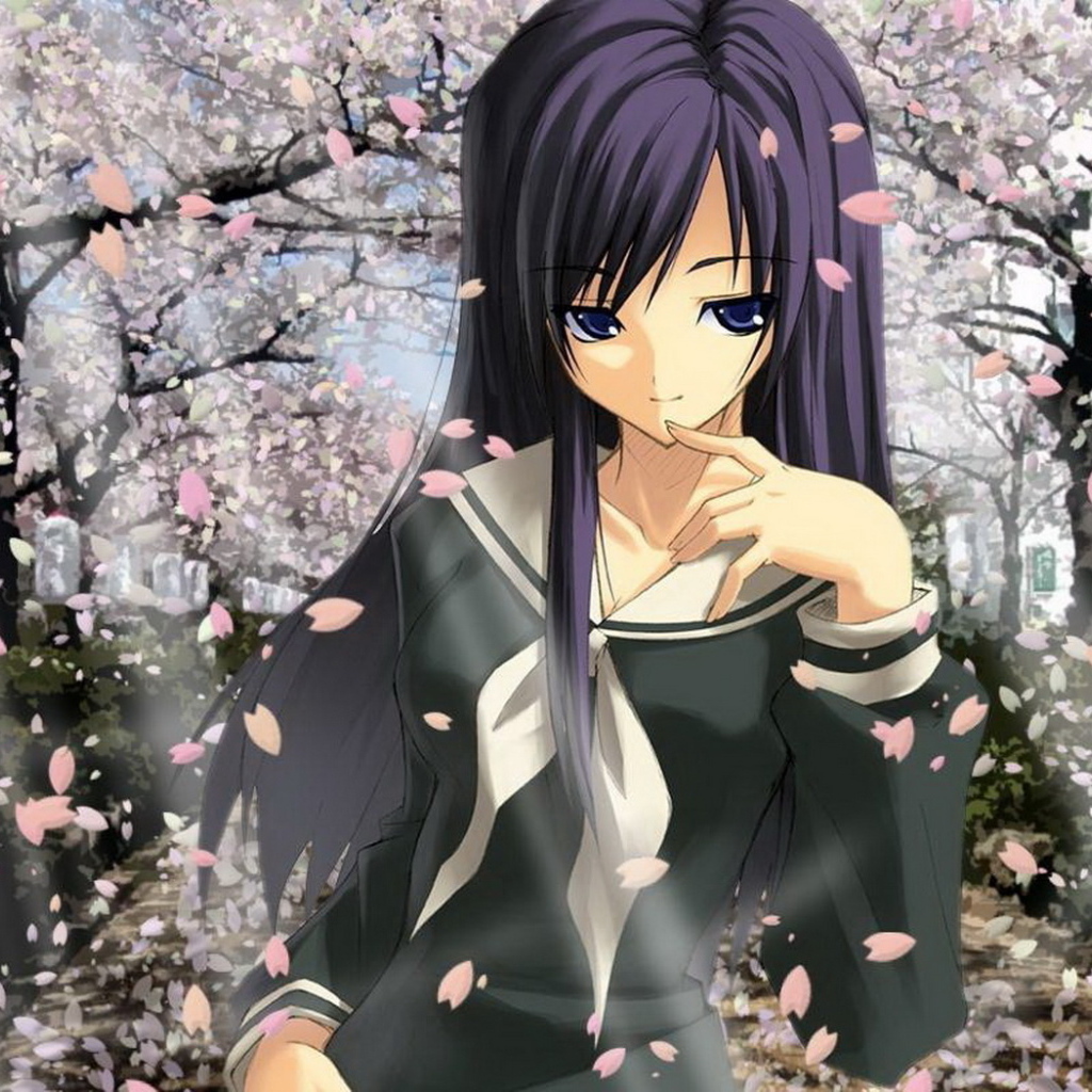 В цвете сакуры