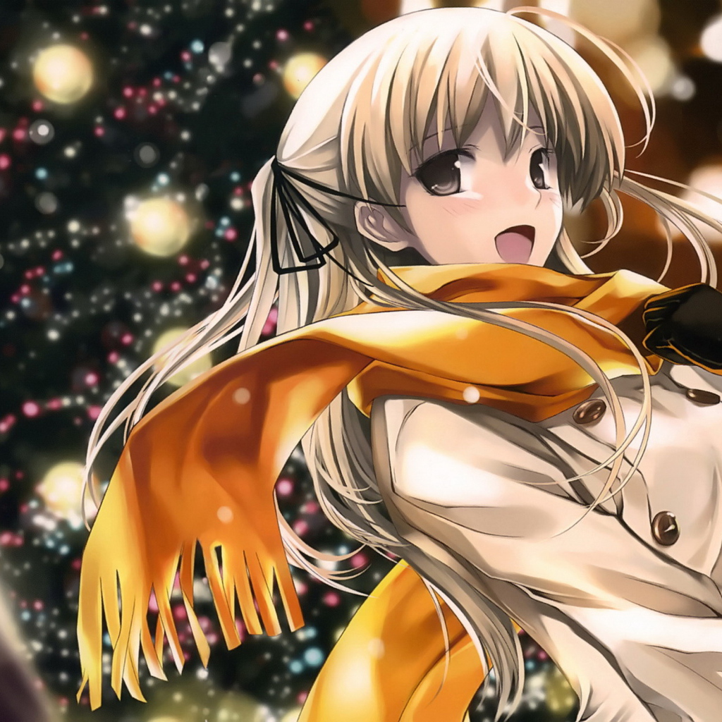 В прохладный зимний день