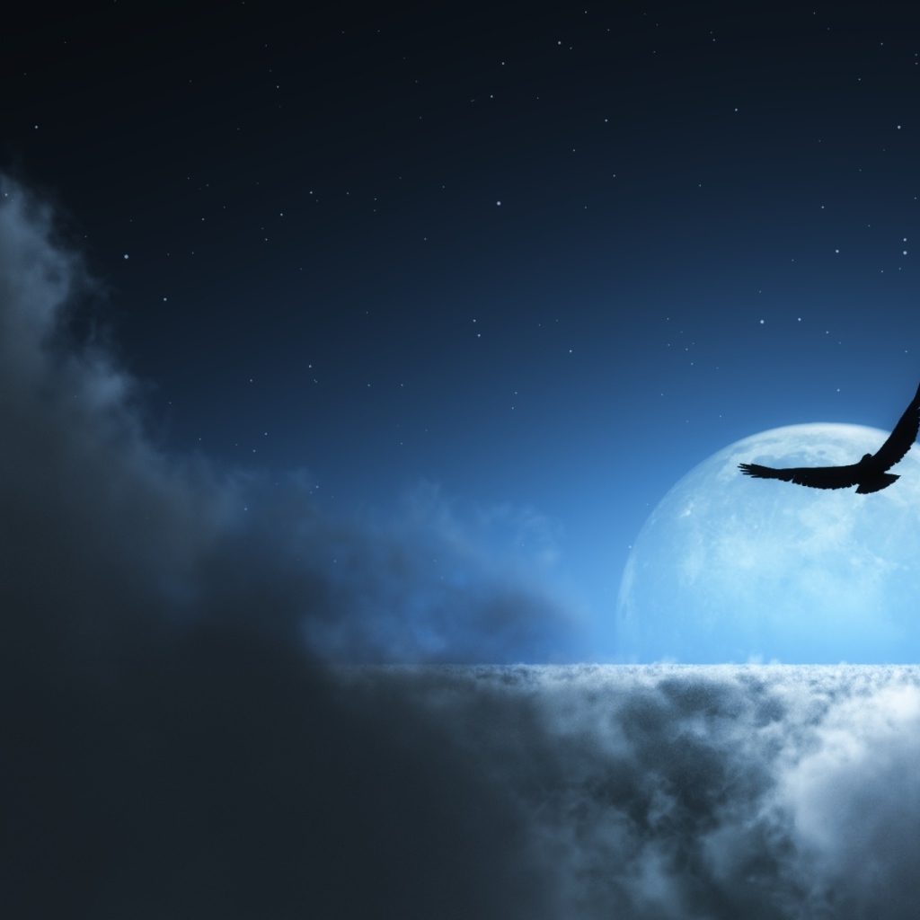 На фоне луны