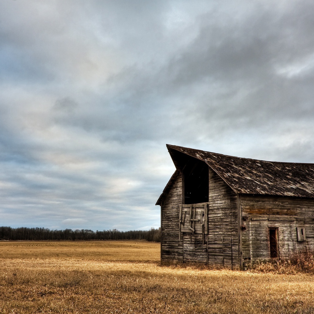 Сарай в поле