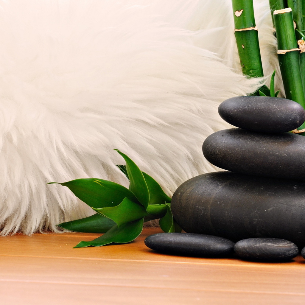 Мех, камни, тростник