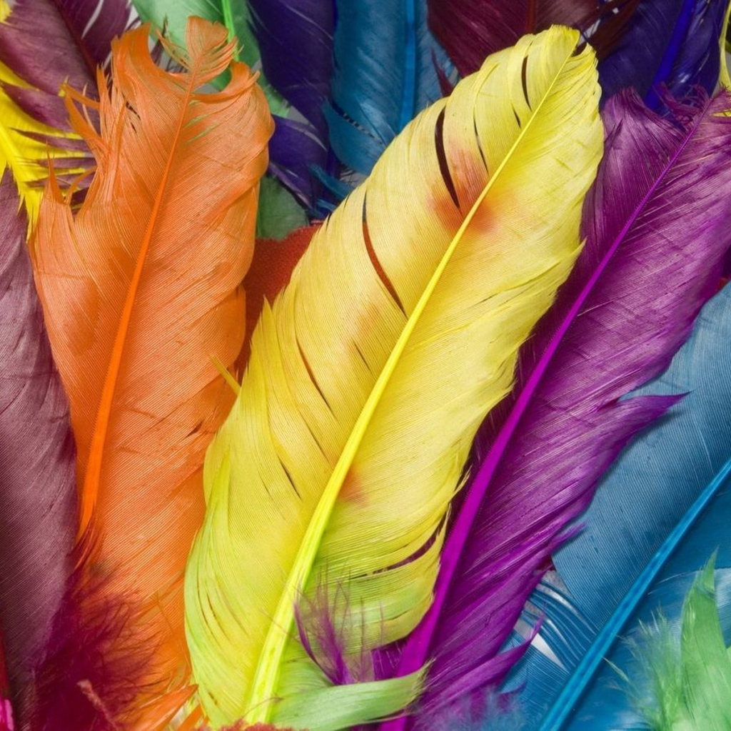 Разноцветные перья