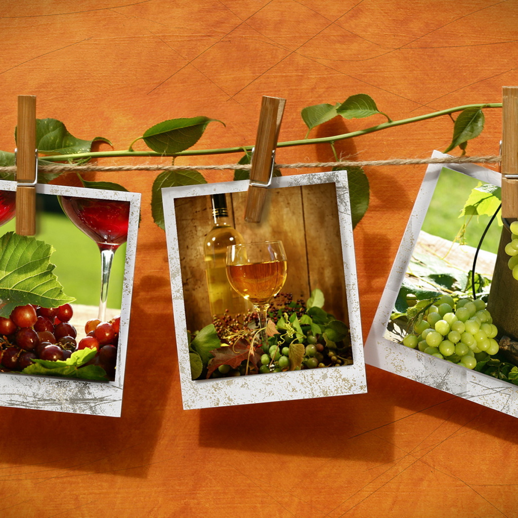 Фотографии