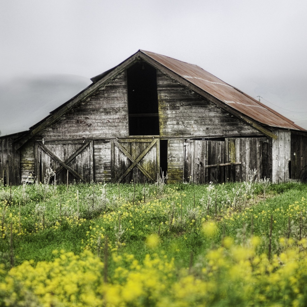 Разваливающийся сарай