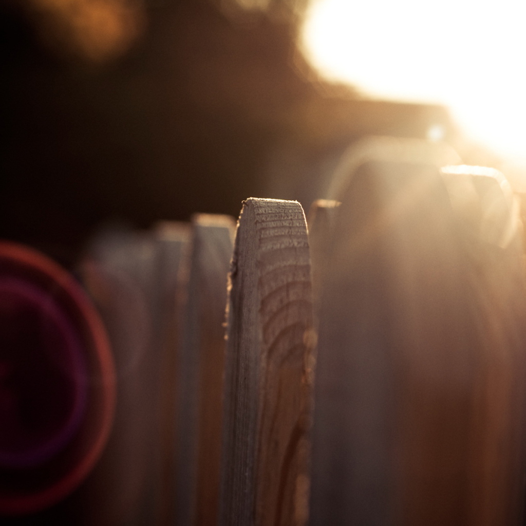 Деревянный забор