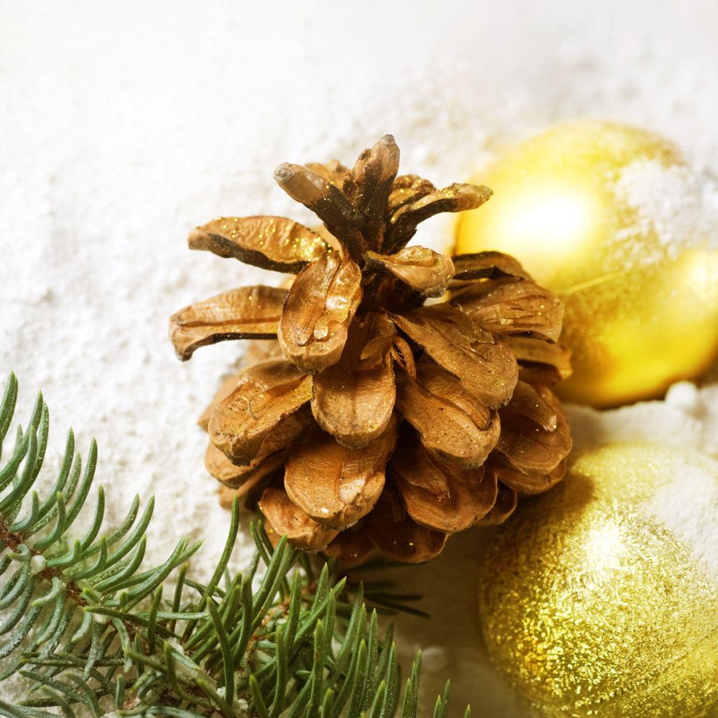 Новогодние игрушки и шишка