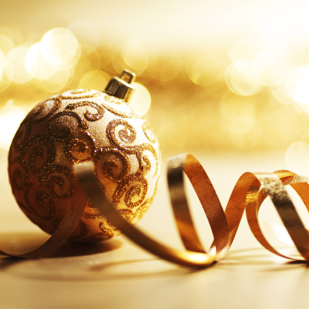 С Новым 2011 Годом