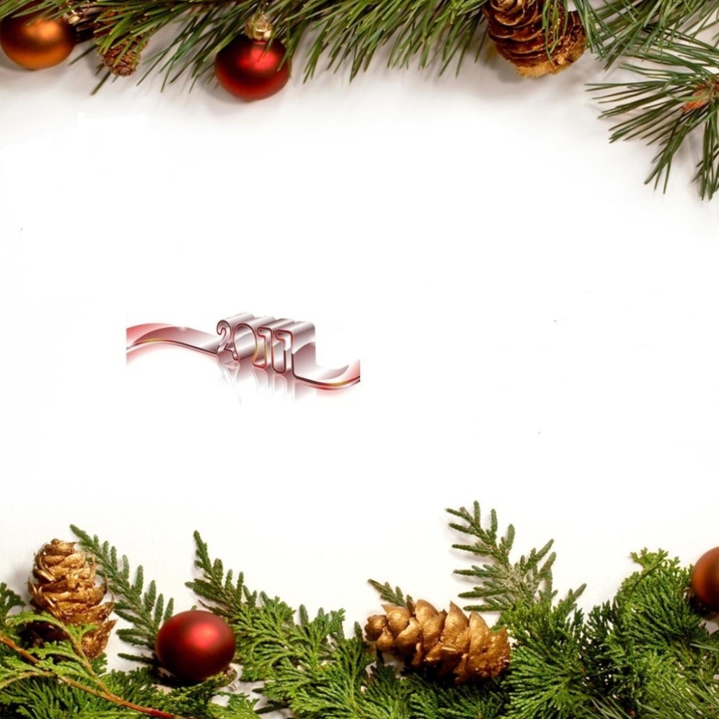 Новый Год 2011