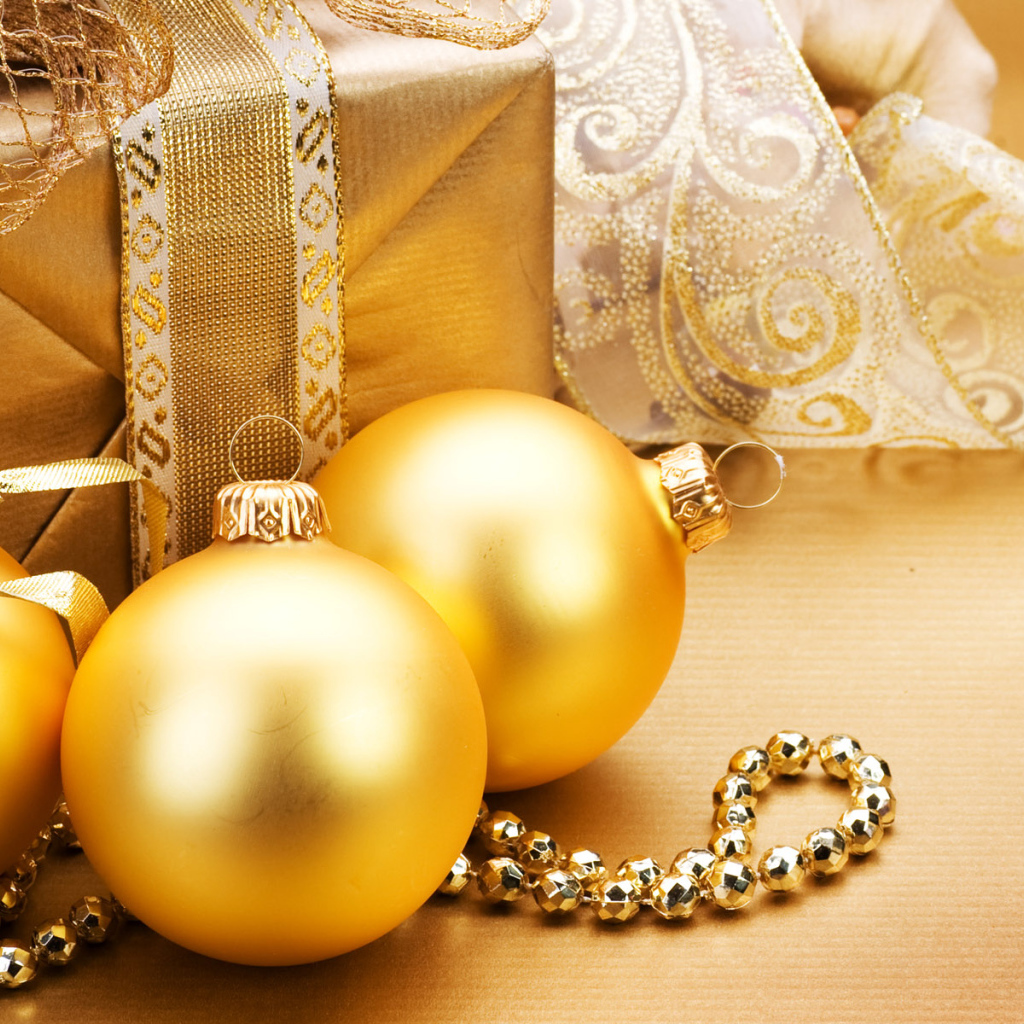 Празднование Нового Года 2011