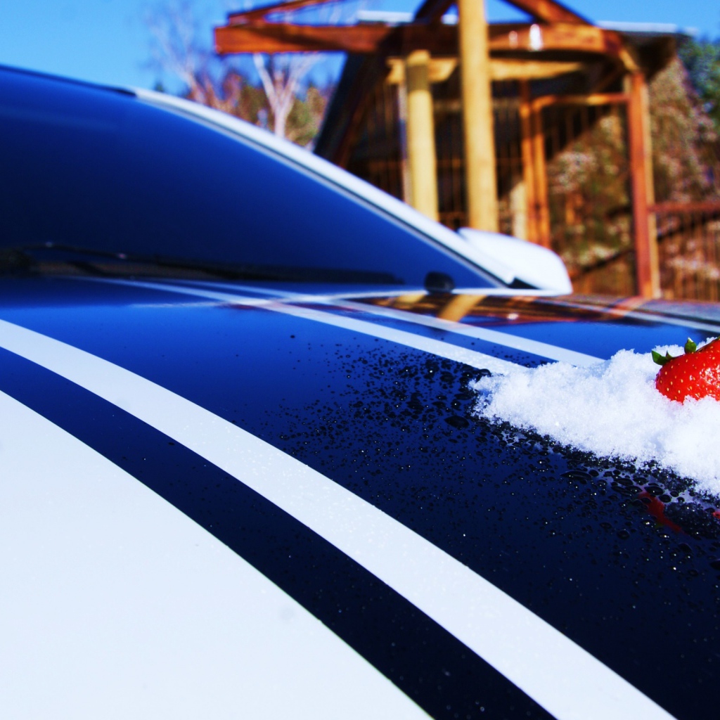 Клубника на капоте