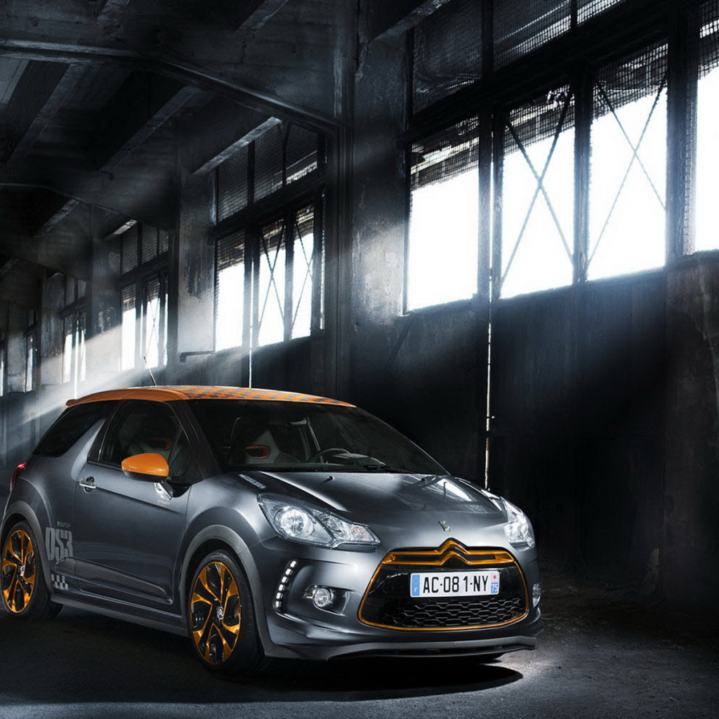Citroen DS3 Racing в ангаре