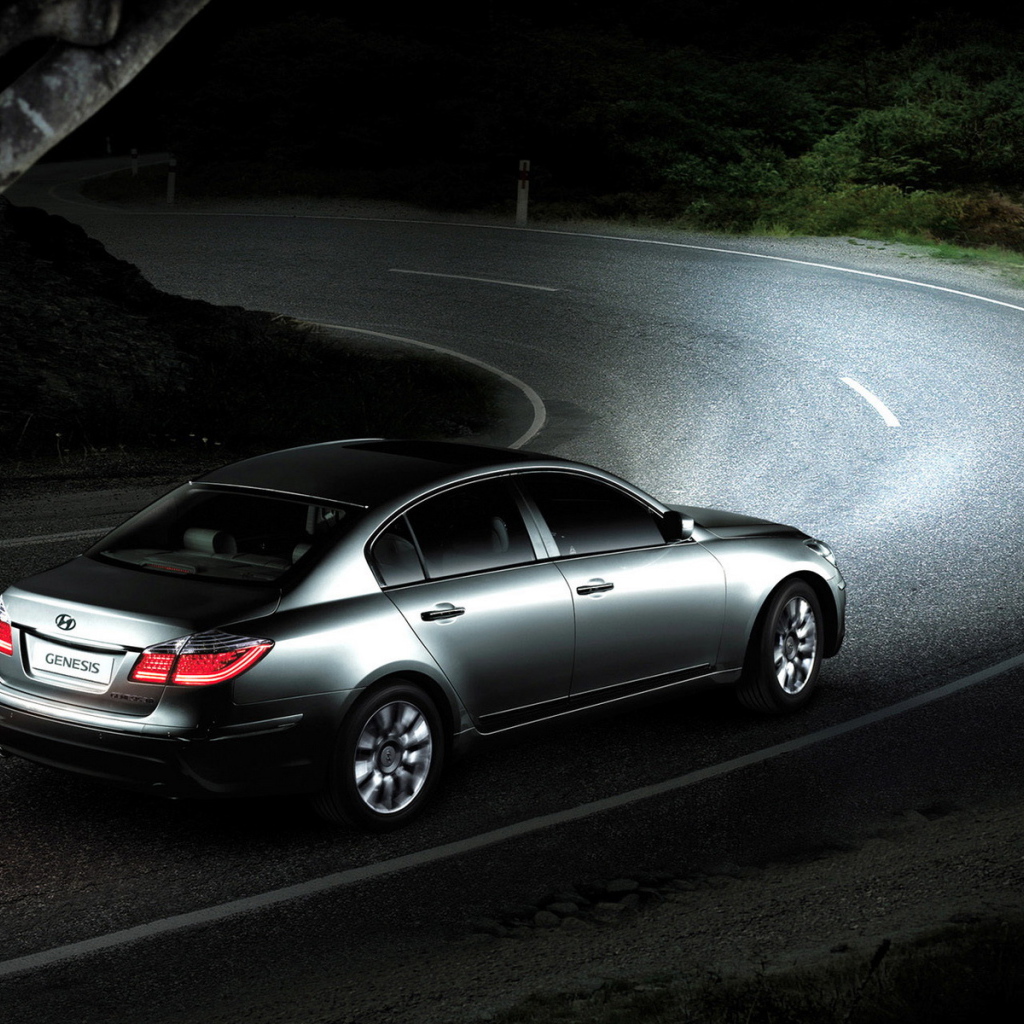 современный Хендай Дженезис