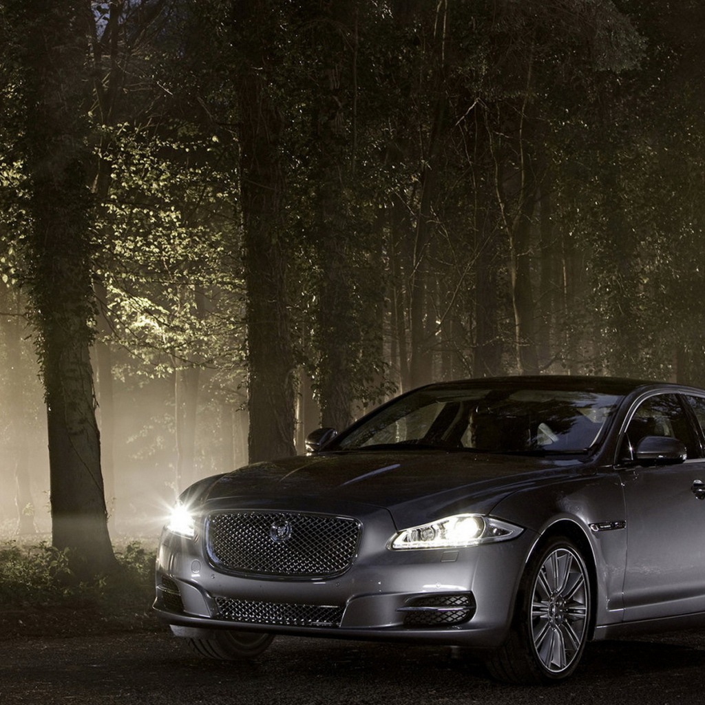 Jaguar XJ в лесу