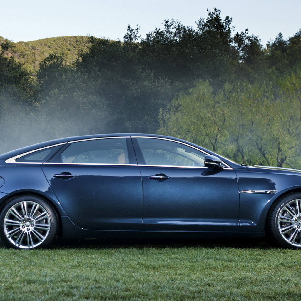 Ягуар XJ в лесу