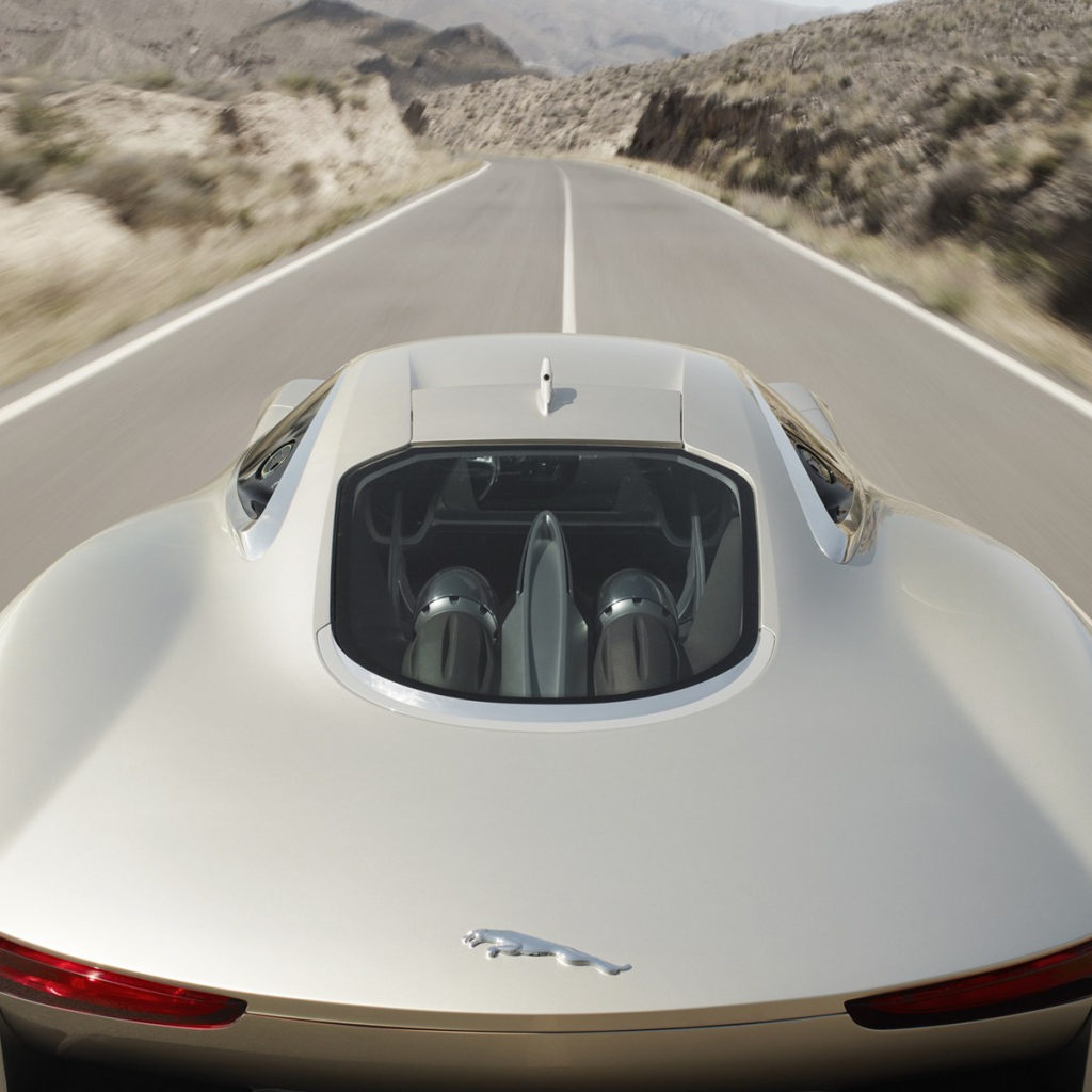 Спортивный ягуар 2011