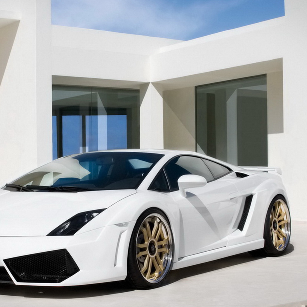 IMSA Lamborghini Gallardo LP-560