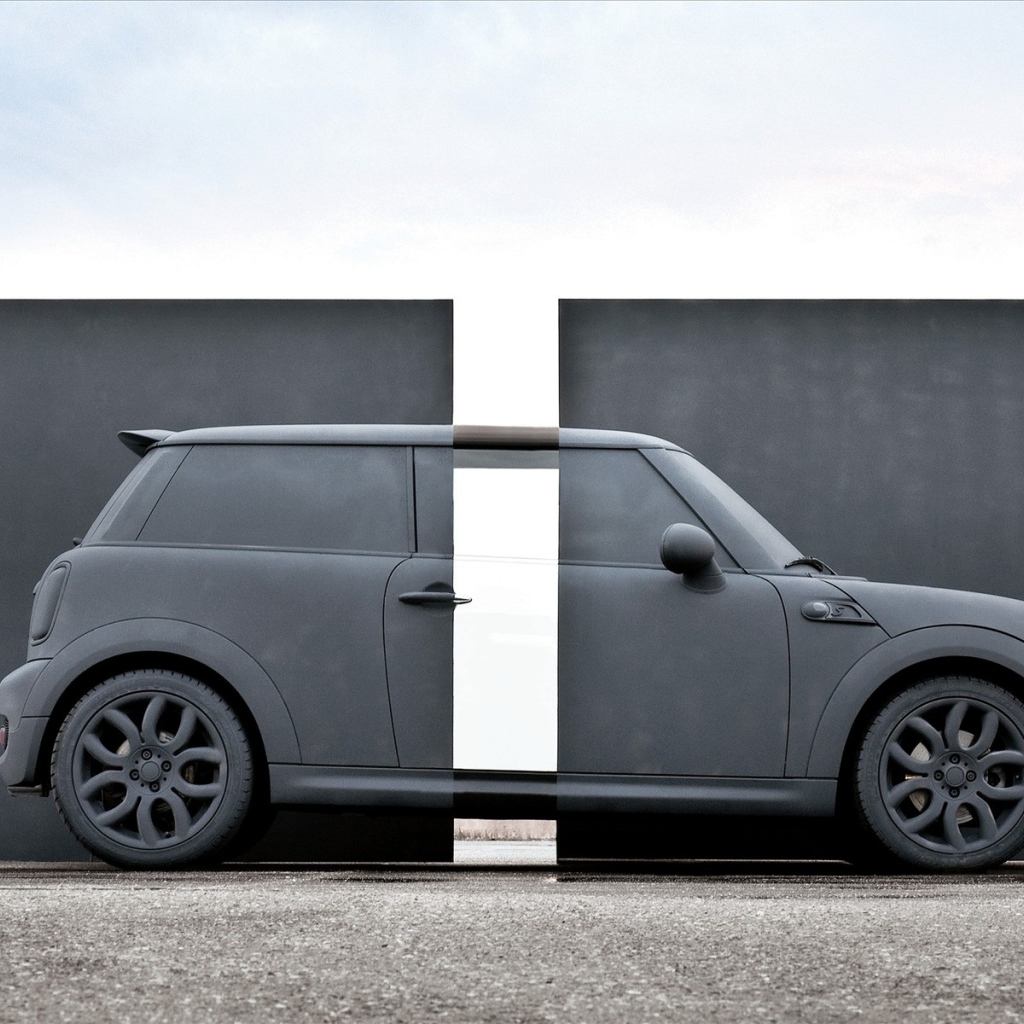 Аэрография хамелеон