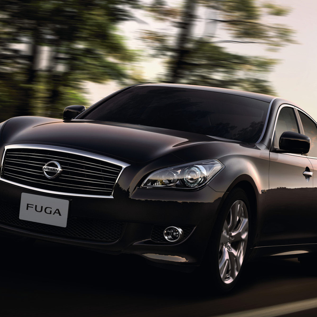 Nissan Fuga на прогулке