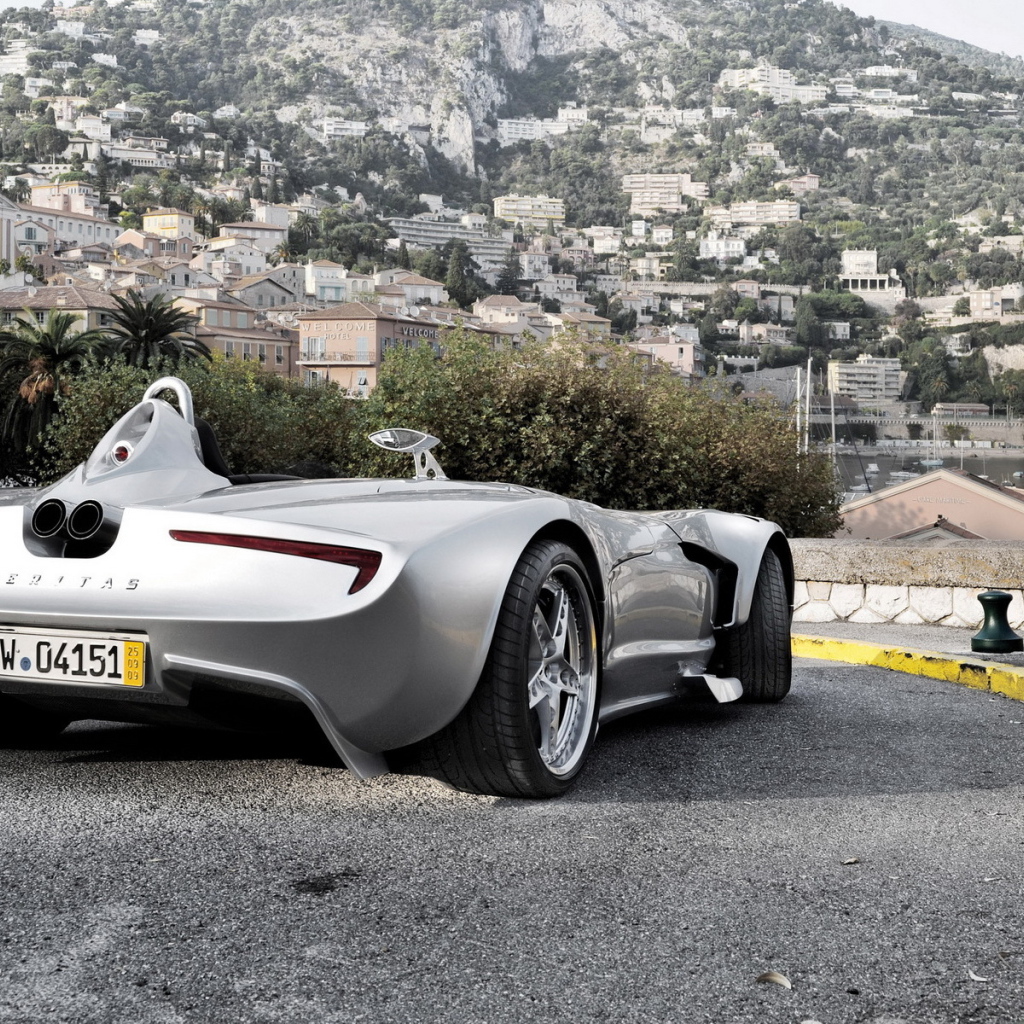 Спортивный Veritas