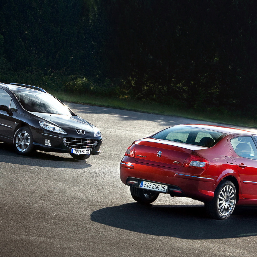 Peugeot 407