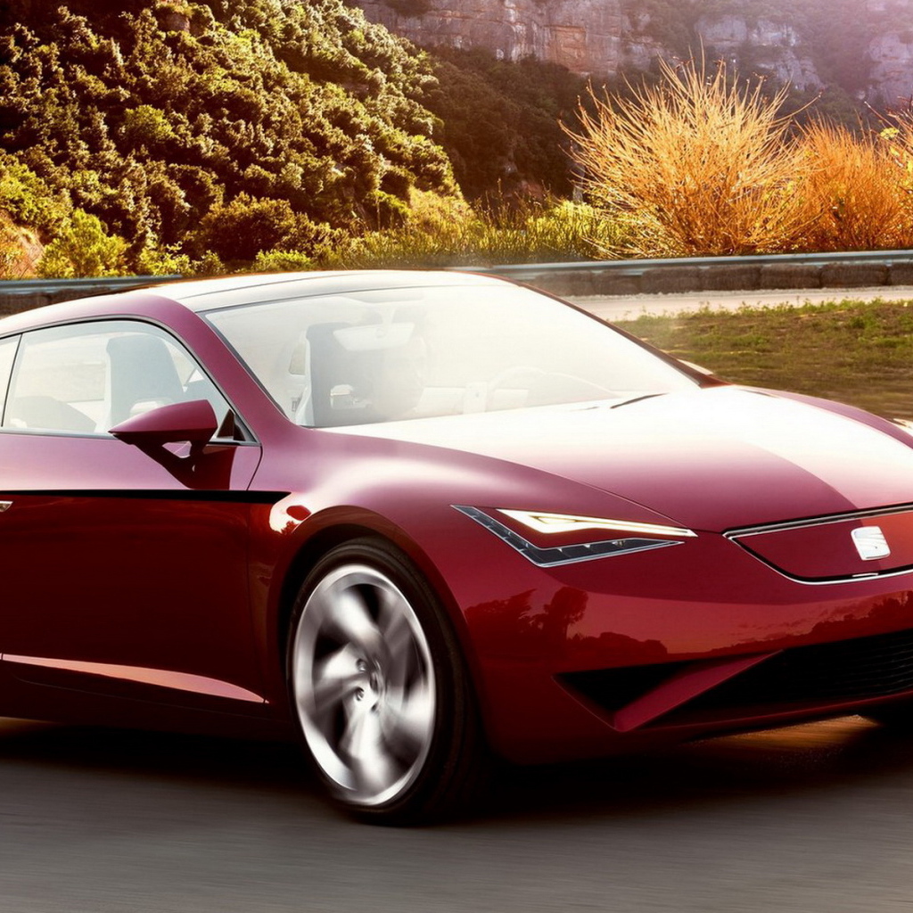 Сиат Париж Концепт