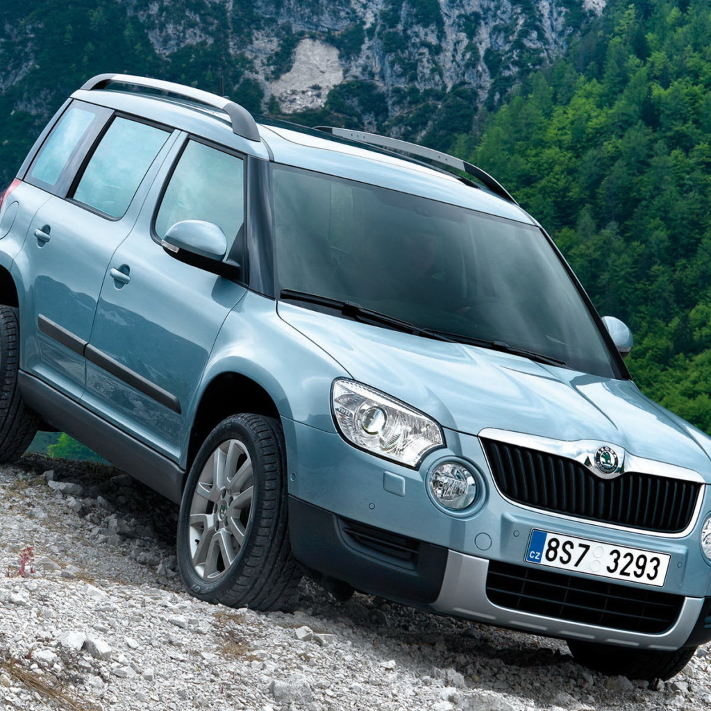 Шкода Йети вниз по склону