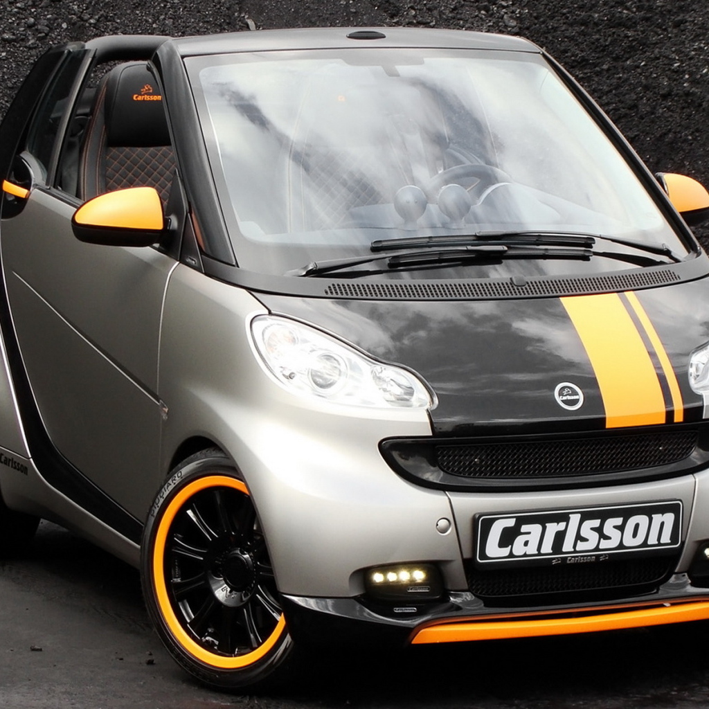 Карлссон Смарт 2010
