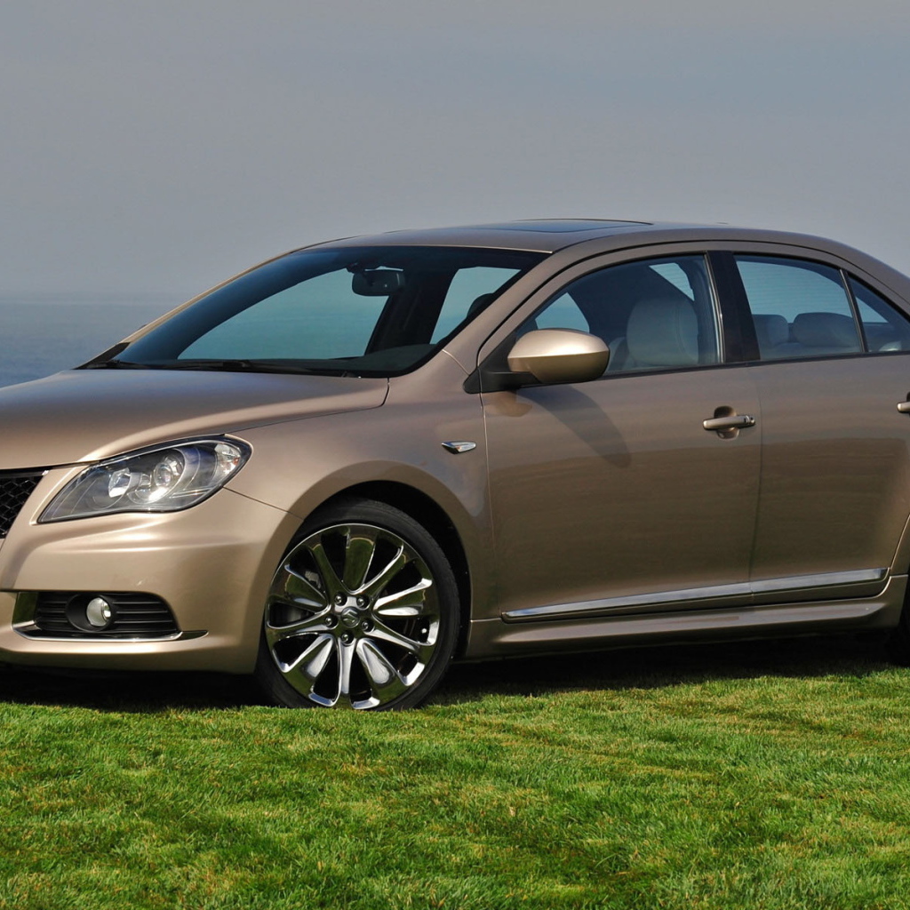 Сузуки Кизаши на газоне среди зелени