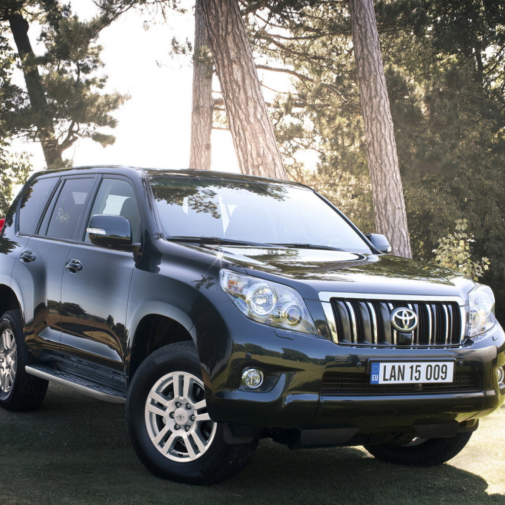 Тойота Лэнд Крузер в лесу