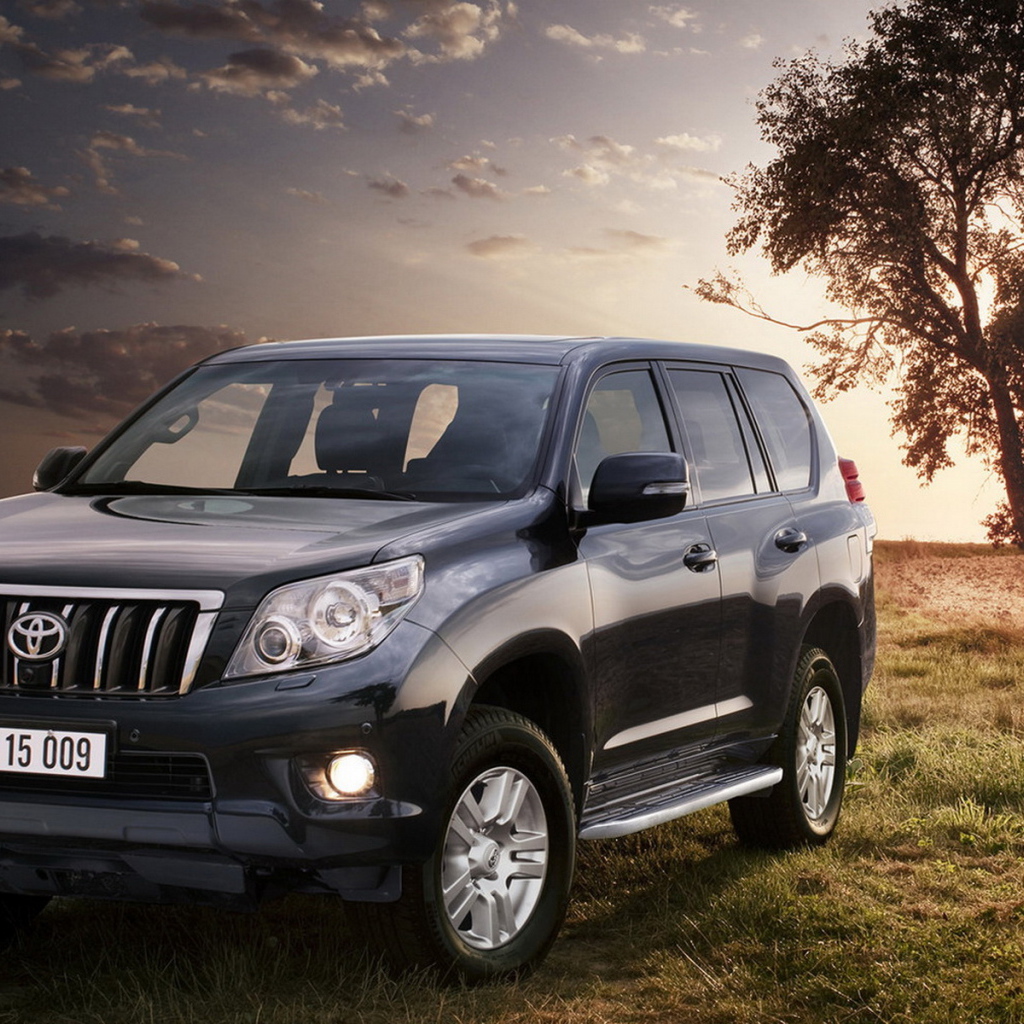 Toyota Land Cruiser возле дерева