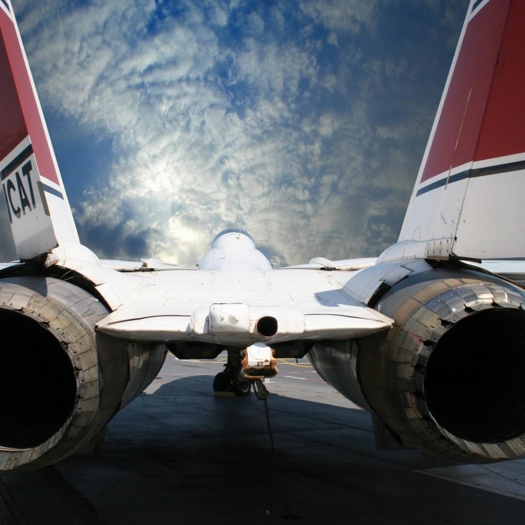 Реактивная, птичка