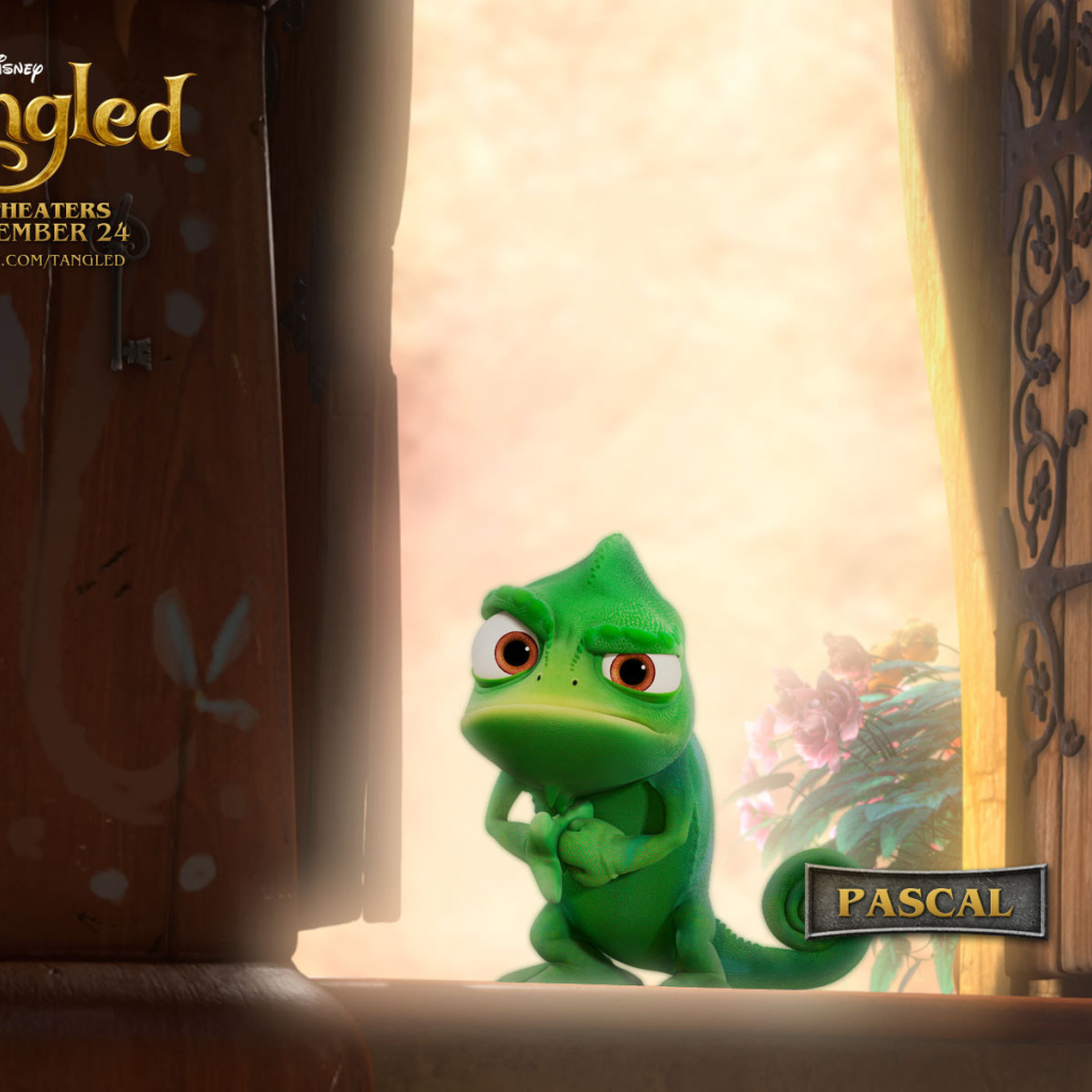 Рапунцель: Запутанная история