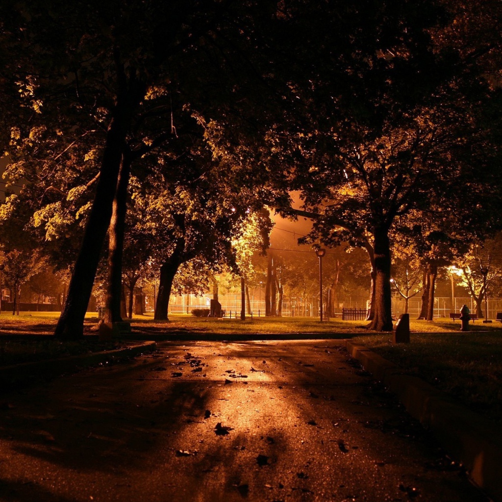 Ночь в городском парке