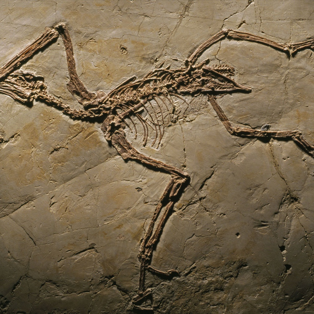 Археология