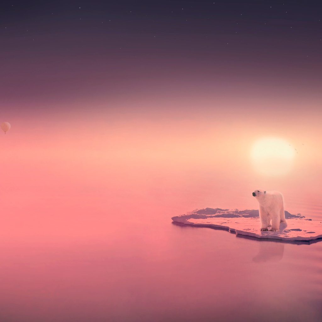 Медведь путешественник