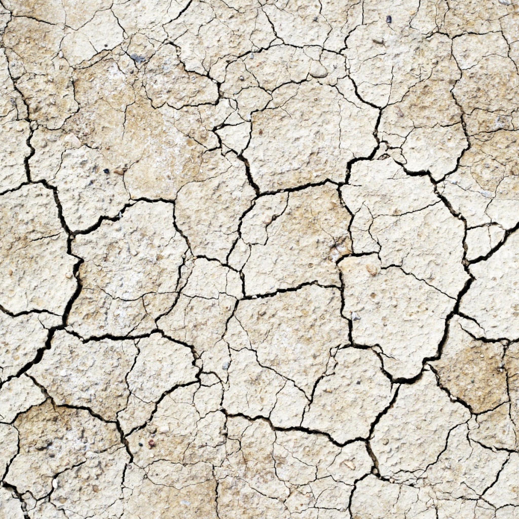 Земля выжженная солнцем