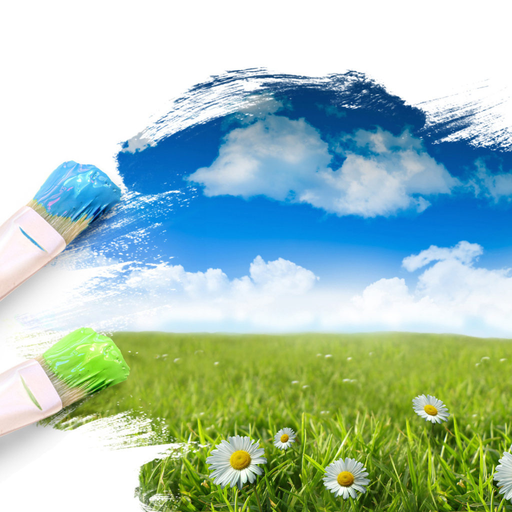 Полевые цветы