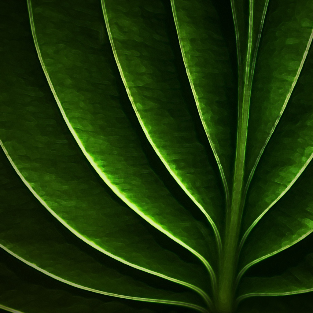 Неоновый листик