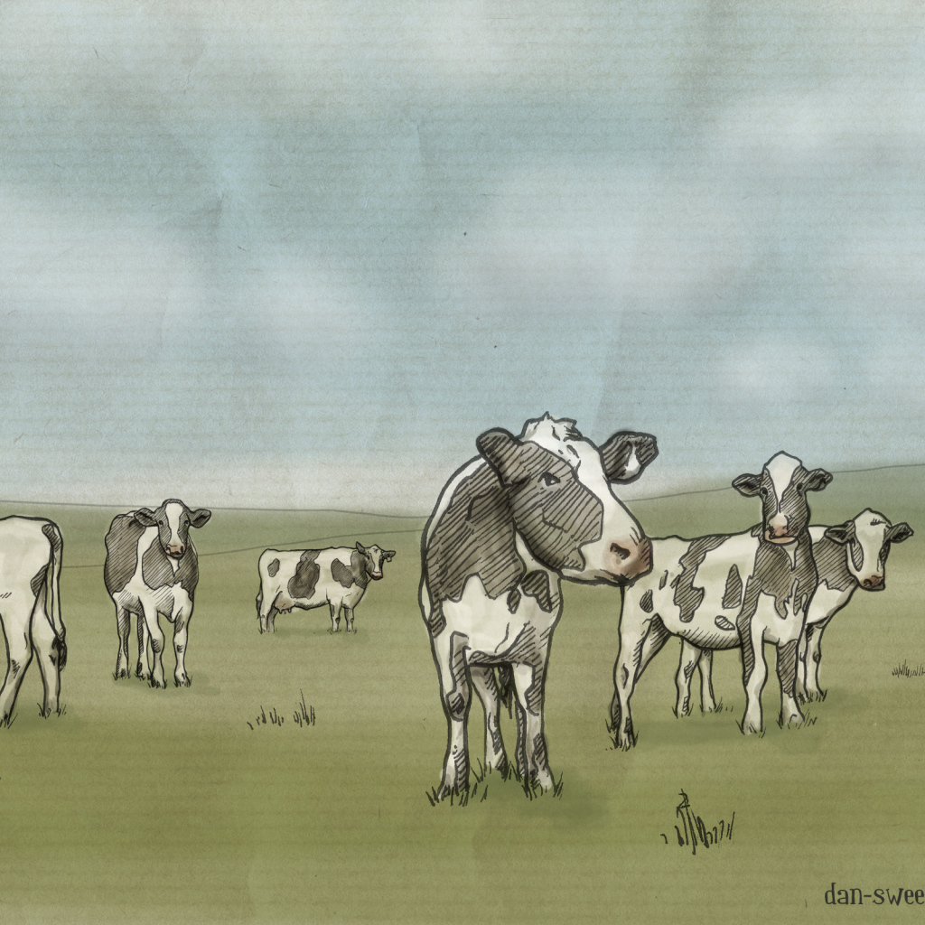 рисованные коровы