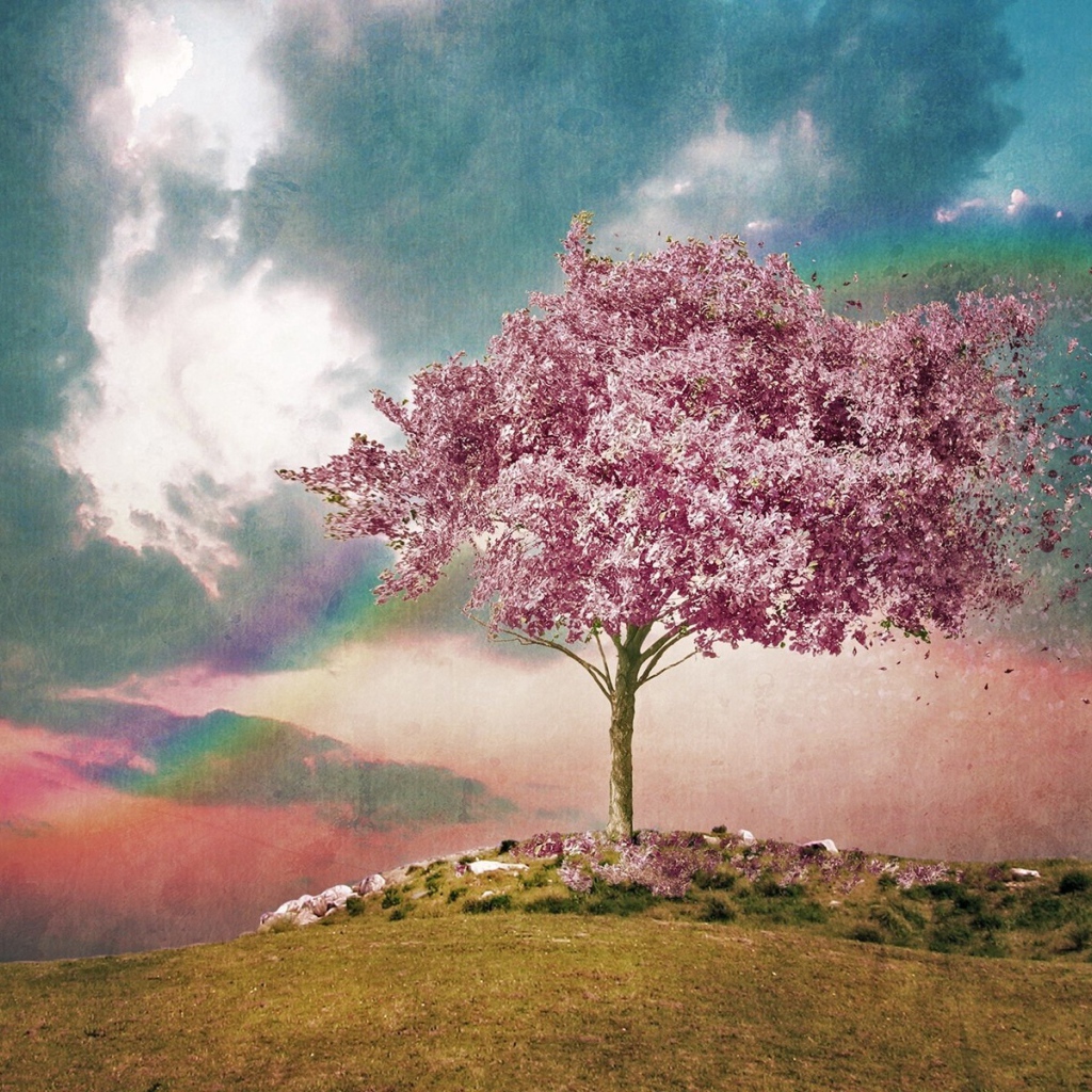 Розовое дерево