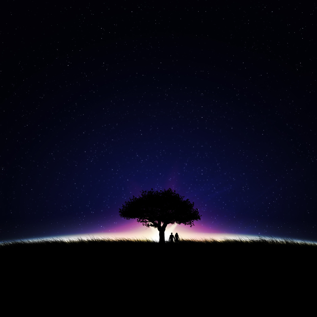 Звезды на ночном небе